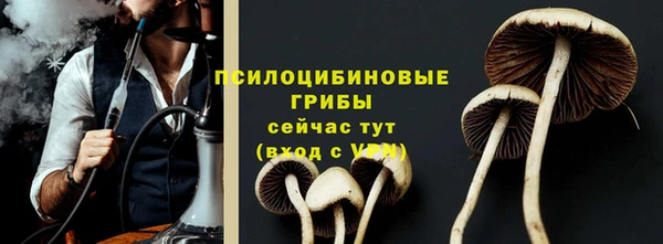 мет Армянск