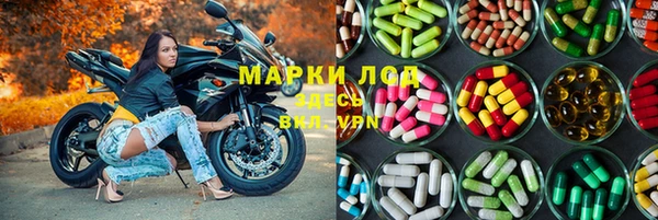 прущий лед Алзамай