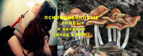 скорость Алексин