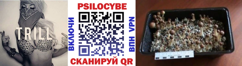 mega сайт Аркадак Псилоцибиновые грибы мухоморы
